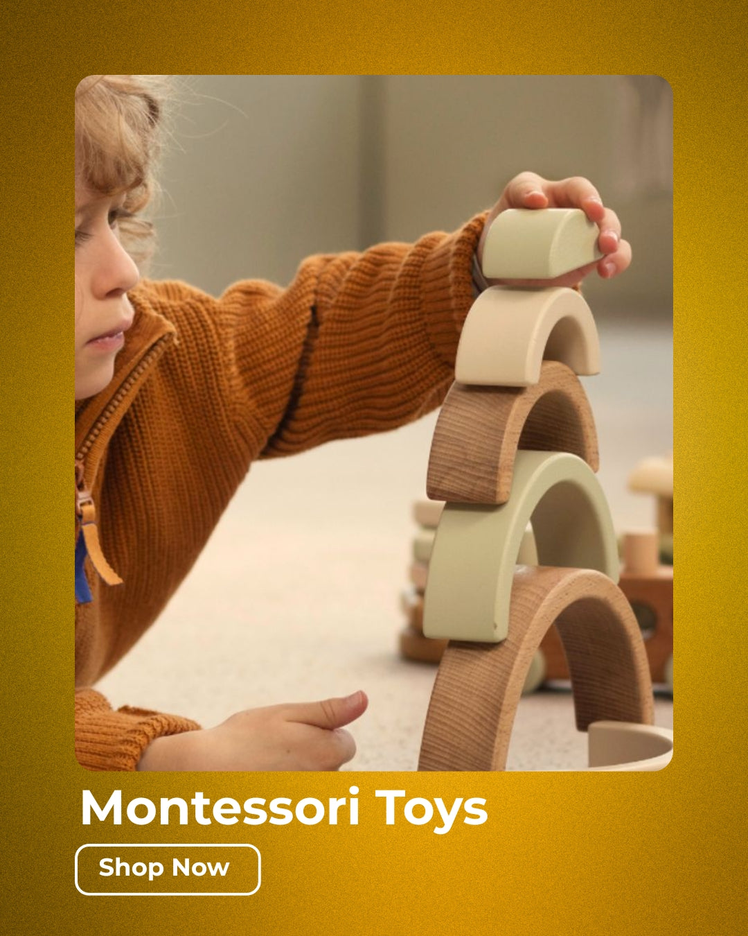 Montessori Toys