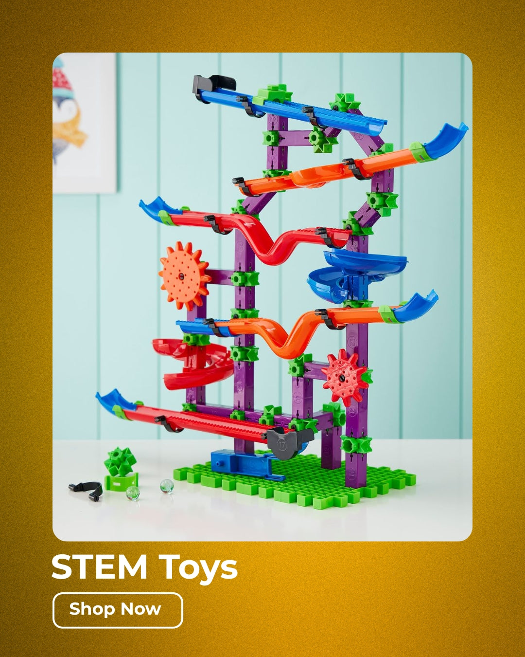 STEM & Skill Development